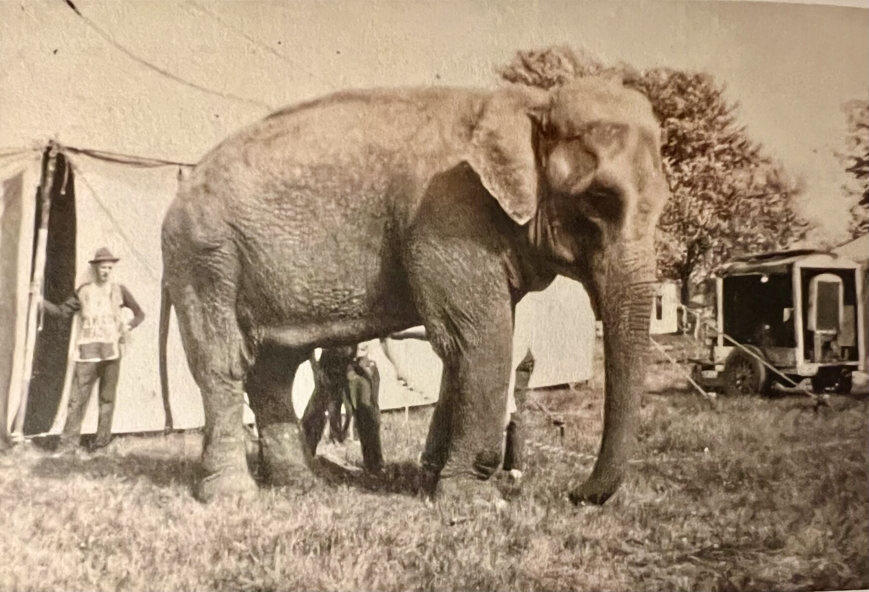 alexandria circus 4